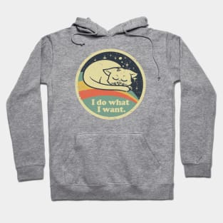 I Do What I want Cat Hoodie